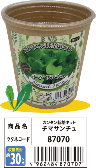 [商品名]カンタン栽培キット チマ・サンチュ、[ウタネコード]87070【収穫目安 約30日～】