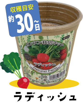 ラディッシュ【収穫目安 約30日～】