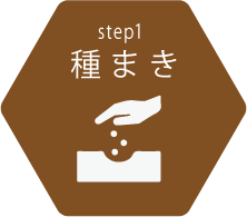 step1 種まき