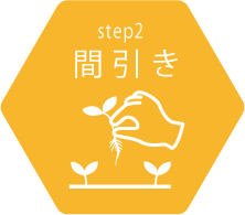 step2 間引き