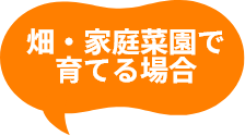 畑・家庭菜園で