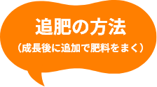 追肥の方法