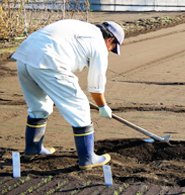 野菜栽培まめ知識 株式会社ウタネ