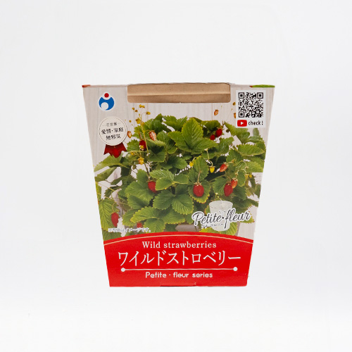 栽培キット