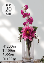 VR100-200(高さ20cm) H：200mm、T：100mm、B：99mm、D：100mm