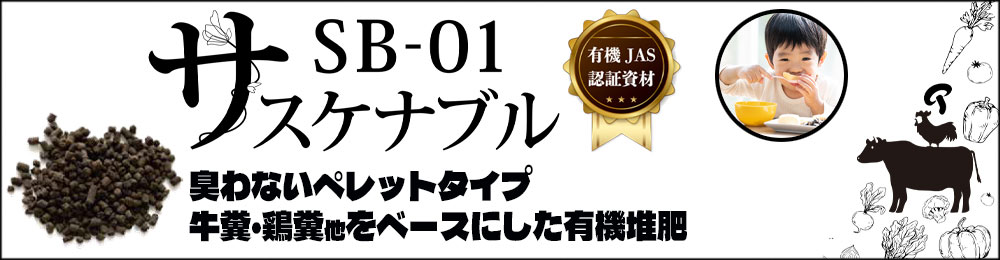 プロモーションバナー