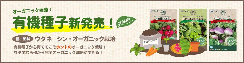 新発売！有機種子