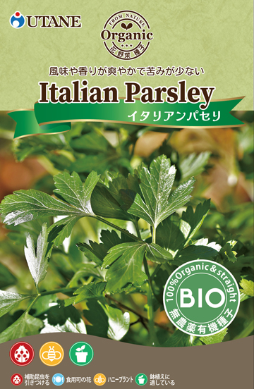 イタリアンパセリ