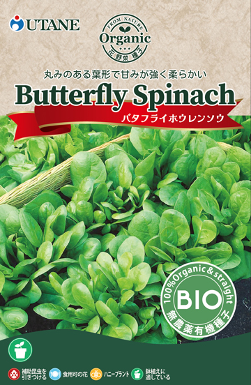 バタフライホウレンソウ