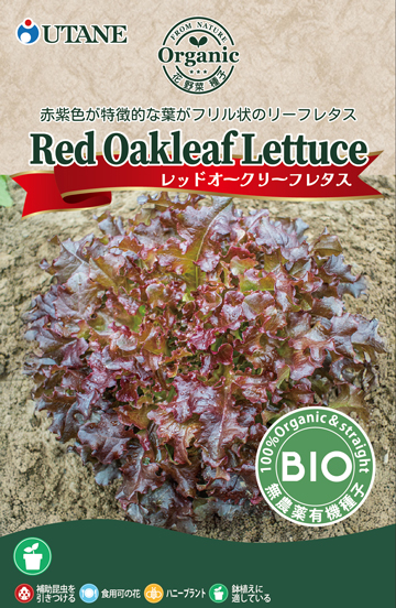 レッドオークレタス