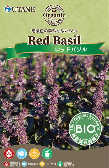 レッドバジル