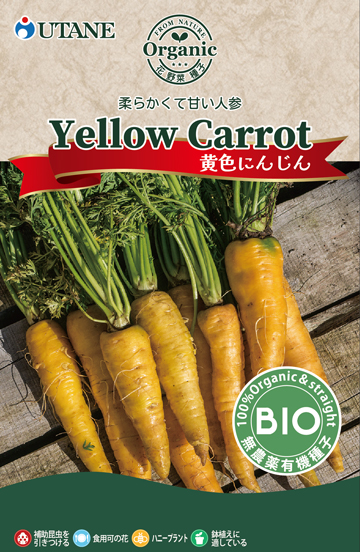 黄色にんじん