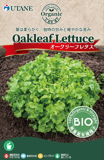 オークリーフレタス