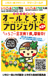 種袋