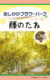 種袋