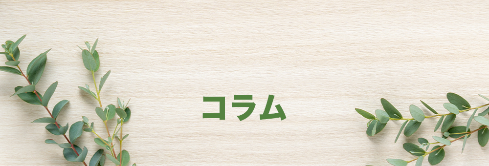 コラム
