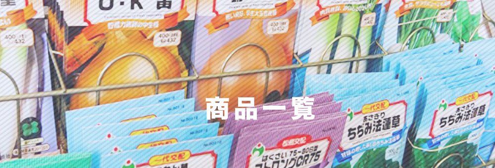 商品一覧