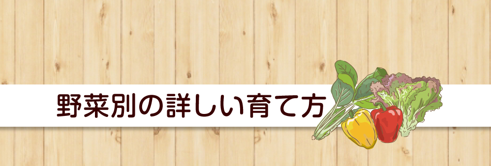 野菜別の詳しい育て方