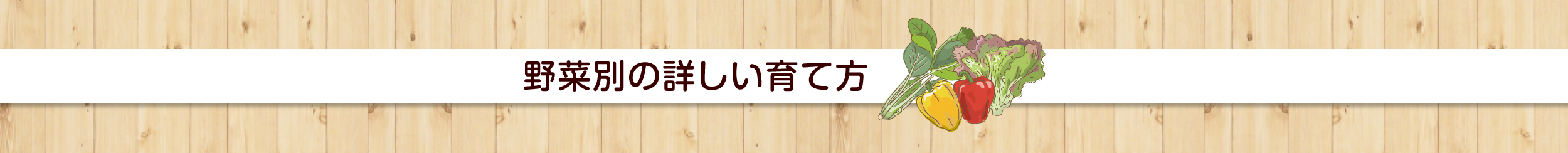 野菜別の詳しい育て方