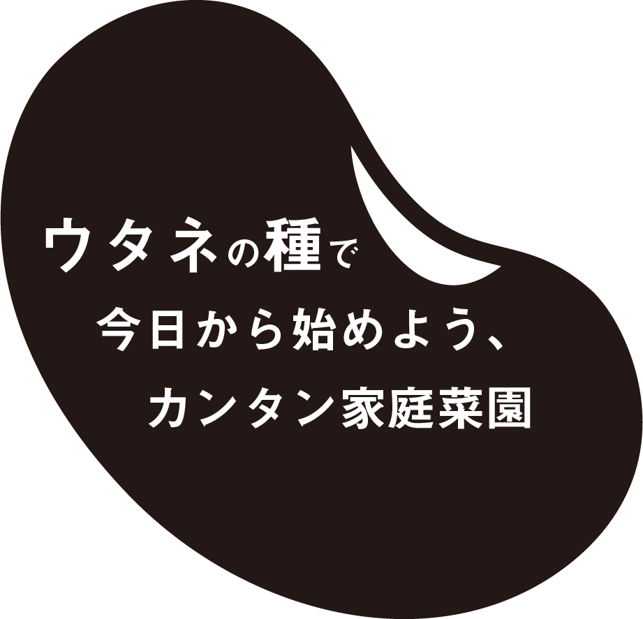 株式会社ウタネ