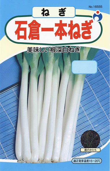 石倉一本ねぎ 株式会社ウタネ