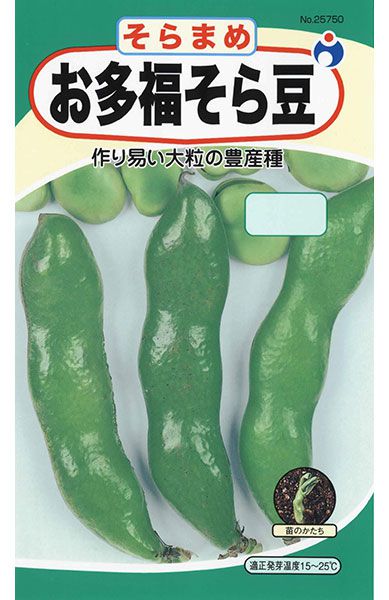 お多福そら豆 | 株式会社ウタネ