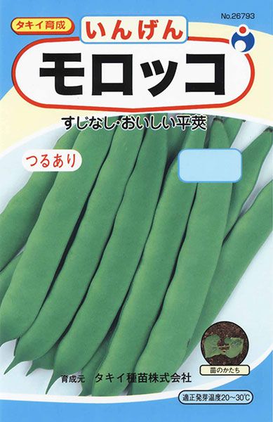 つるありモロッコ 株式会社ウタネ
