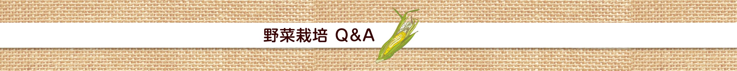 野菜栽培Q＆A
