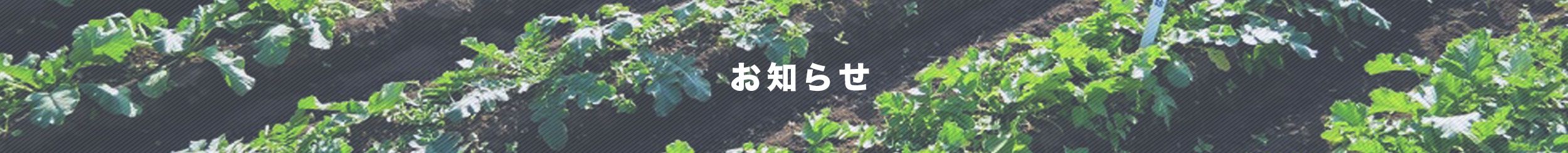 パッケージと裏面の表記について