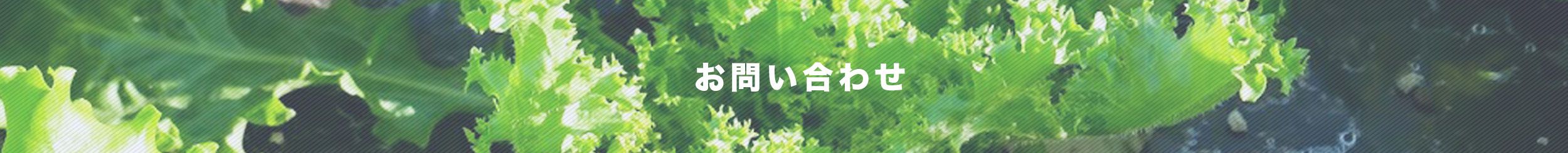 お問い合わせ
