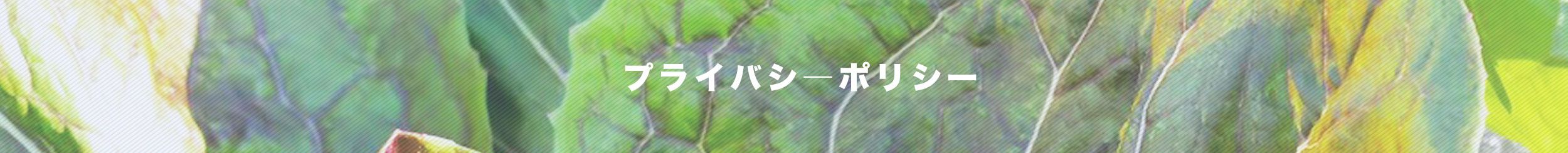 プライバシーポリシー