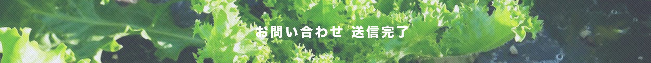 お問い合わせ送信完了