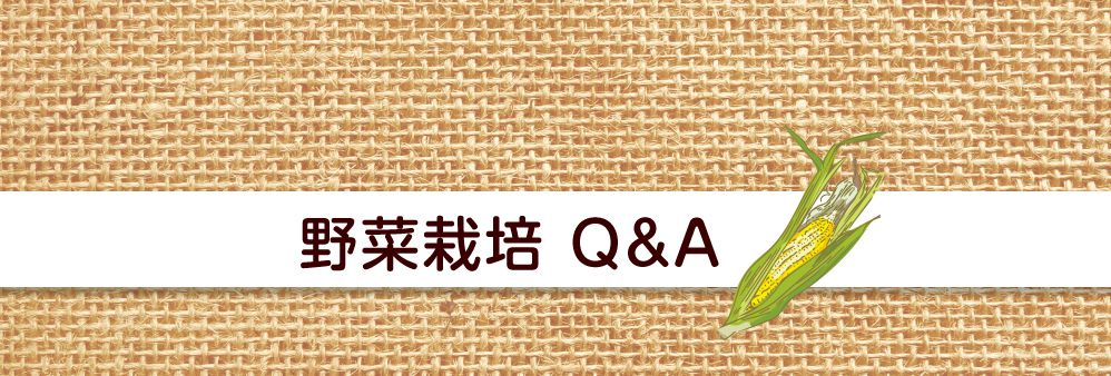 野菜栽培Q＆A