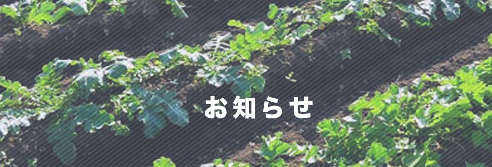 パッケージと裏面の表記について