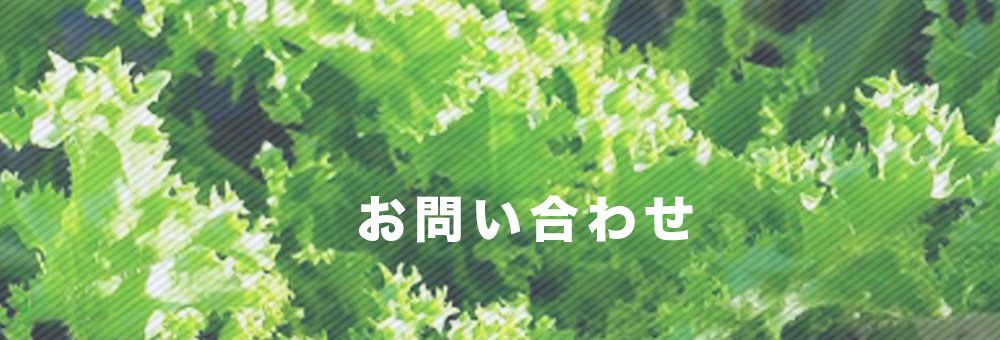 お問い合わせ