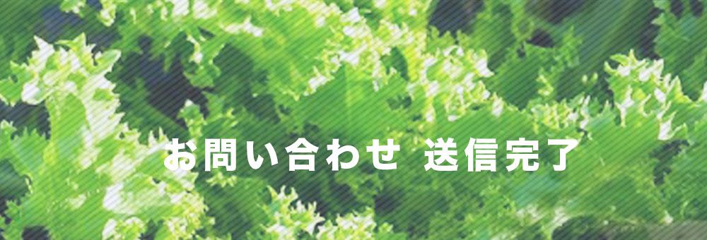 お問い合わせ送信完了