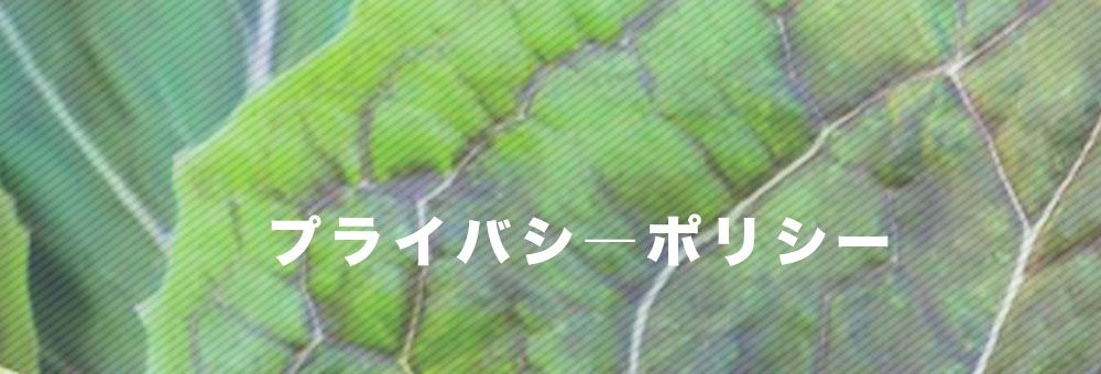 プライバシーポリシー