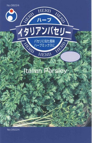 イタリアンパセリー ハーブ 株式会社ウタネ
