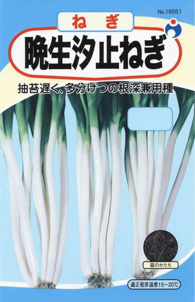 晩生汐止ねぎ | 株式会社ウタネ