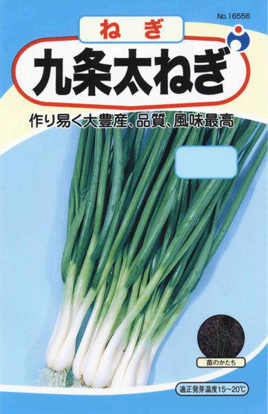 九条太ねぎ 株式会社ウタネ