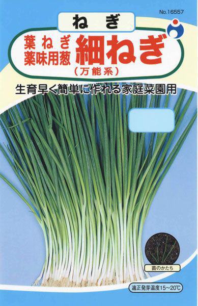 細ねぎ 万能系 葉ねぎ 薬味用葱 株式会社ウタネ