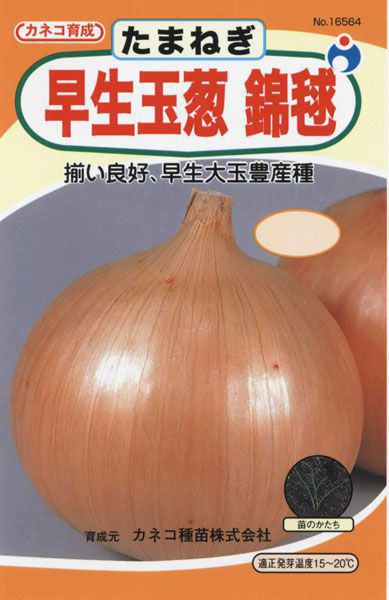 たまねぎ スワロー | 株式会社ウタネ