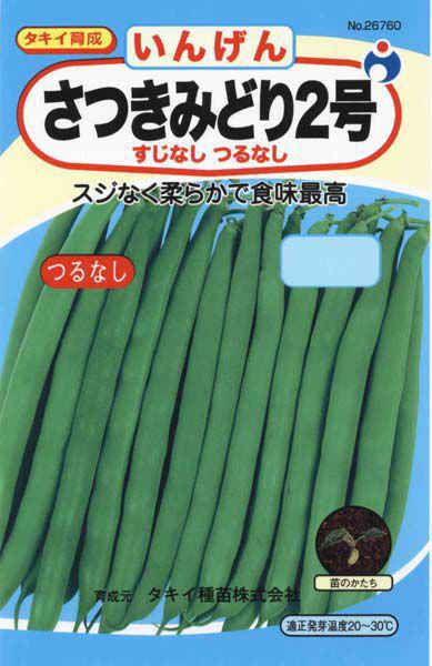 さつきみどり2号 いんげん 株式会社ウタネ さつきみどり2号 いんげん 株式会社ウタネ