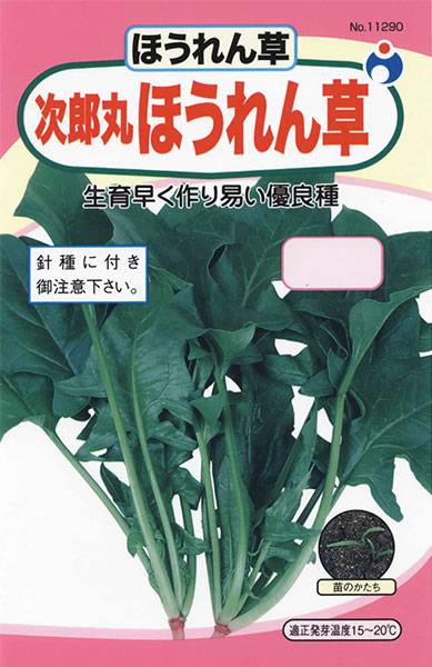 次郎丸ほうれん草 | 株式会社ウタネ