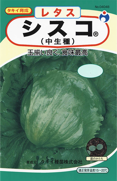 シスコ(中生種) | 株式会社ウタネ