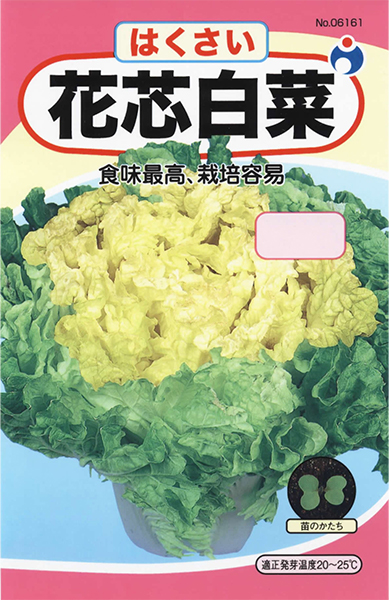 花芯白菜 株式会社ウタネ
