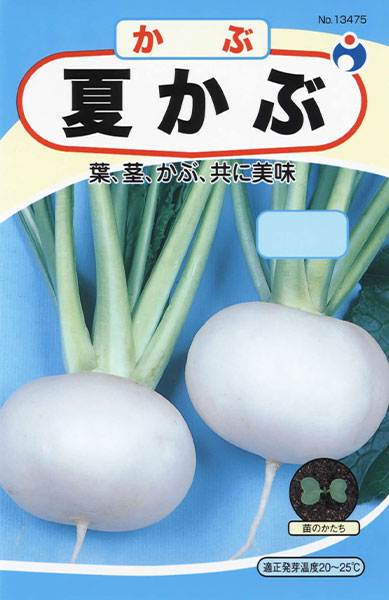 耐病 ひかりかぶ | 株式会社ウタネ