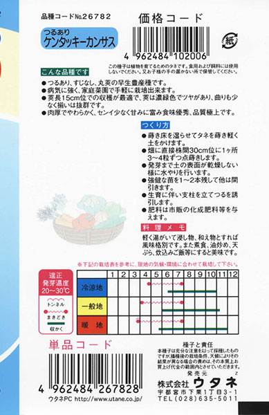 ケンタッキーカンサス いんげん 株式会社ウタネ