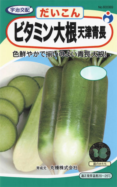 ビタミン大根 天津青長 株式会社ウタネ