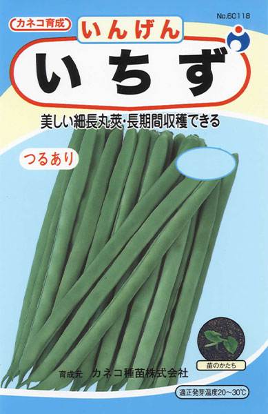 いちず いんげん 株式会社ウタネ